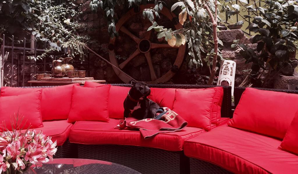 Blacky Hostel And Apartments (Adults Only) Cusco Ngoại thất bức ảnh